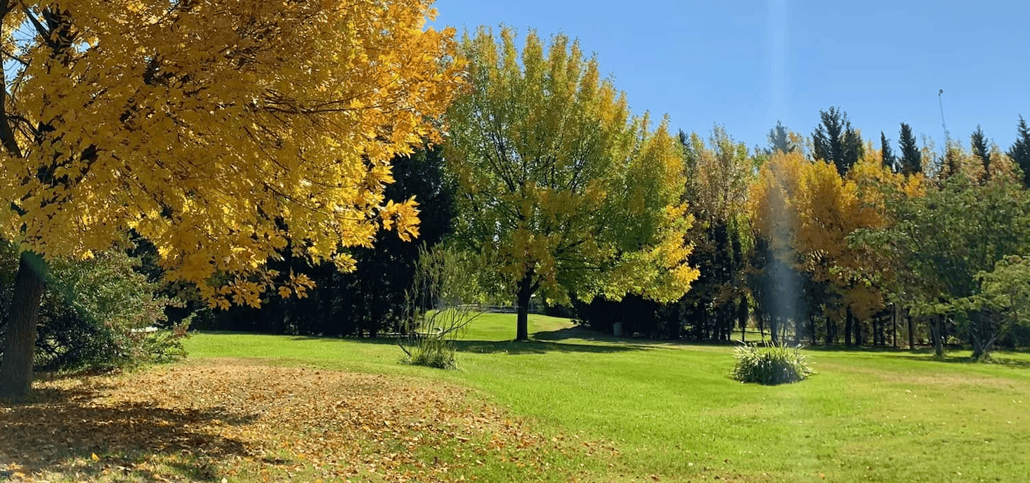 Bubalcó Patagonia